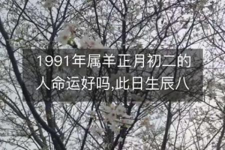 探秘农历18年：你的命运与生肖的奇妙联系