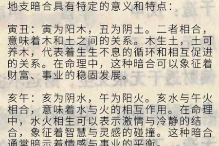 命与磁场的神秘交织：探究相冲的深层意义