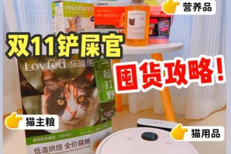 养猫之道：猫奴的命运与幸福，究竟是什么？