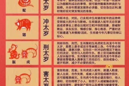 探索属猪虎命：什么时辰更能助你一臂之力？