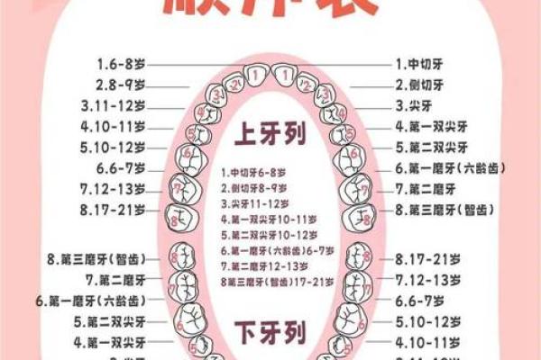 牙齿27颗命运解析：你的牙齿数量揭示的性格与生活