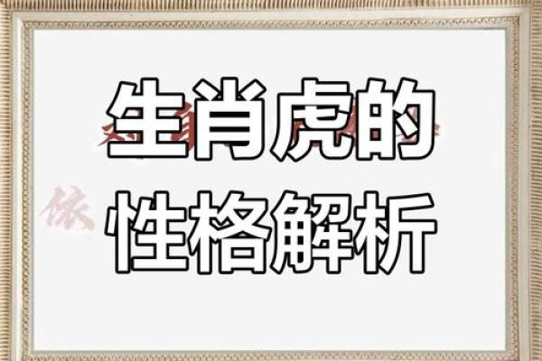 属虎人的命运：探索他们不平凡的生活与性格特质