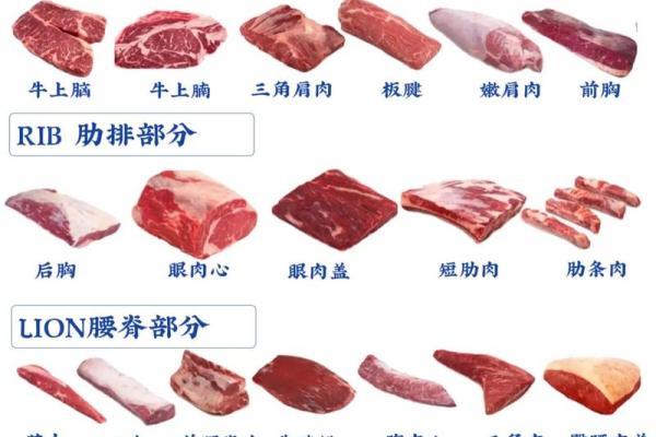 命与饮食：解密为何某些人不可食牛肉的深层原因