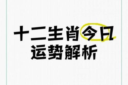 生肖羊12月命运解析：2023年运势与生活启示