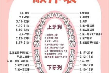 牙齿27颗命运解析：你的牙齿数量揭示的性格与生活