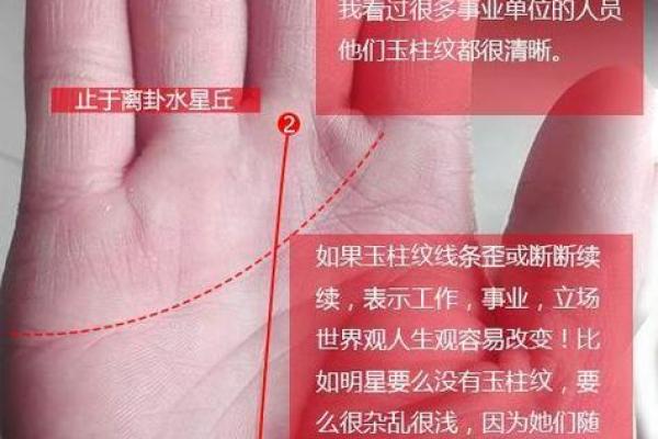 事业线中断的命理解析：人生的转折与重生