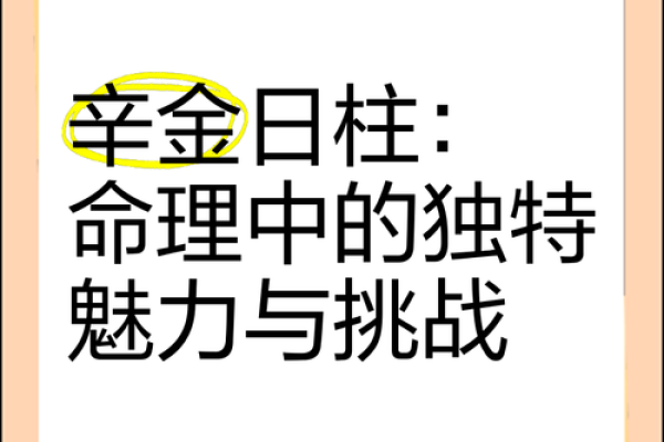 辛酉日男命的独特魅力与爱好探寻