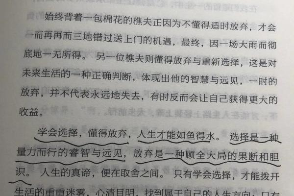 女人坐不住的命运：探讨内心追求与人生选择的深意