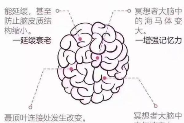 戊午年出生的人命格解析：活力与智慧的结合