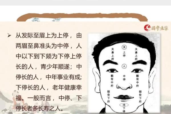 探秘童子命：揭秘童子命者的独特记号与生活特征