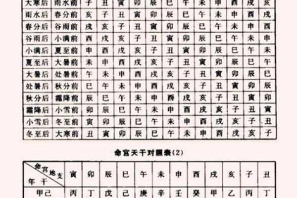 命理分析：丙子、辛丑、辛亥、甲午命格的魅力与人生智慧