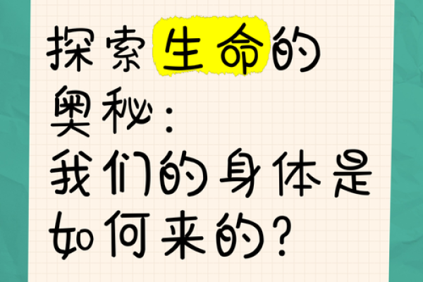 中医与命理：探索生命的深层奥秘与身体的和谐之道