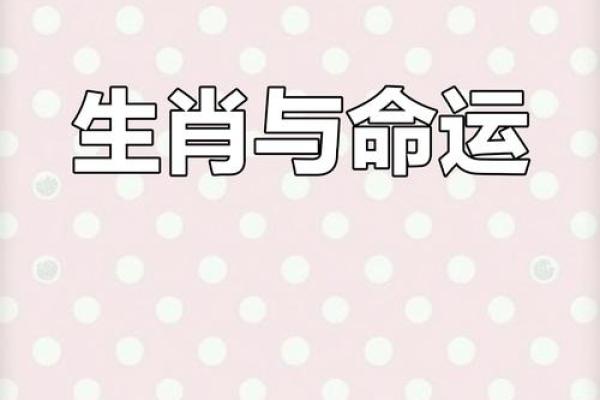 贪财爱命：从生肖看人生的选择与智慧