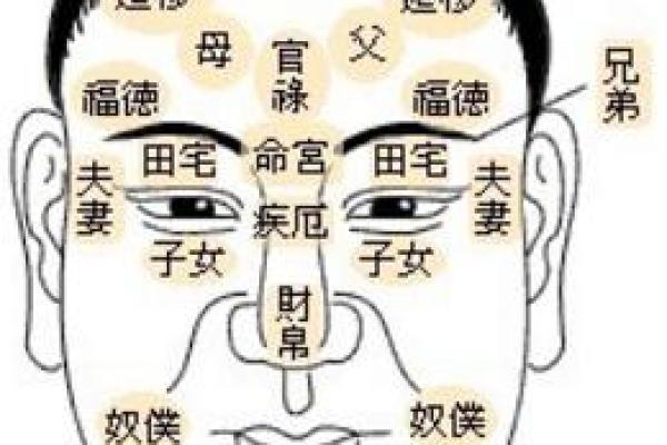 如何透视命理，揭示你命中缺失的珍贵元素