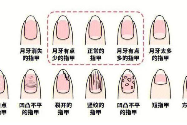 男生指甲薄的秘密：命运、性格与健康解读