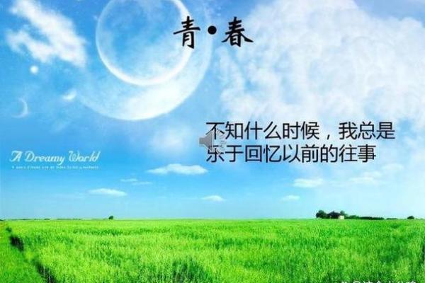 探讨：生活的意义与短暂岁月，如何活出精彩人生？