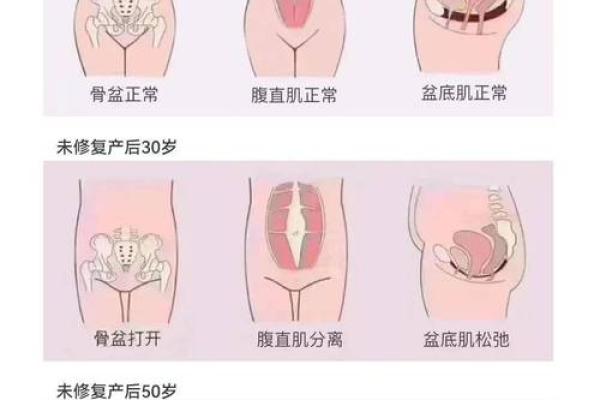 命盘中的子宫方位解析：解读生命的深层意义