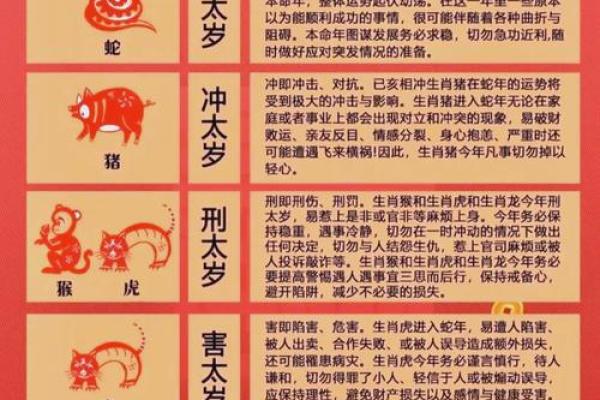 探秘：什么命的人与貔貅相克？不可不知的五大生肖解析！