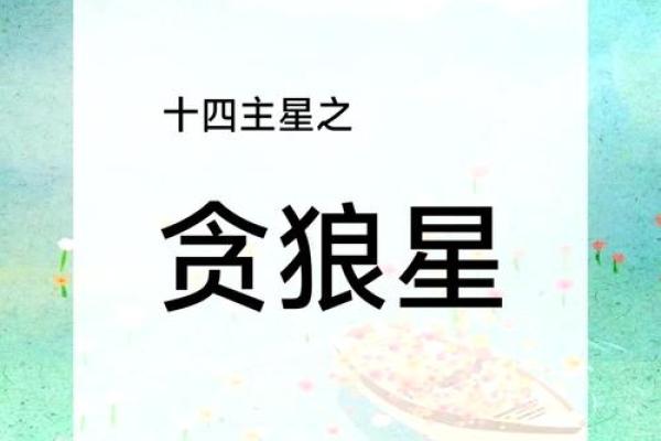 贪狼星：命运的双面刃，福祉与祸害共存的奥秘