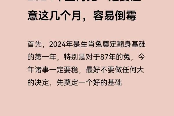 探索1965年兔子的命运：神秘生肖背后的智慧与故事