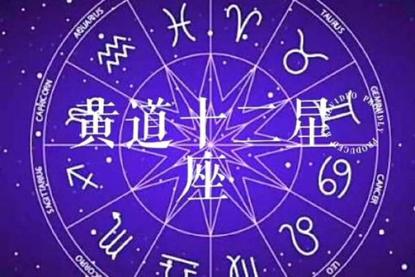 探索十二星座的命格与人生轨迹秘辛