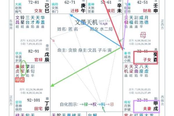 探索紫薇命盘的孤独：命运与内心的对话之旅