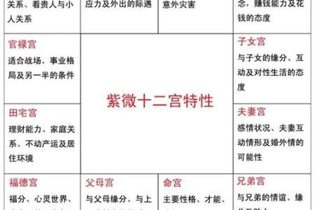 探索紫微七杀：揭示命格的奥秘与人生解析