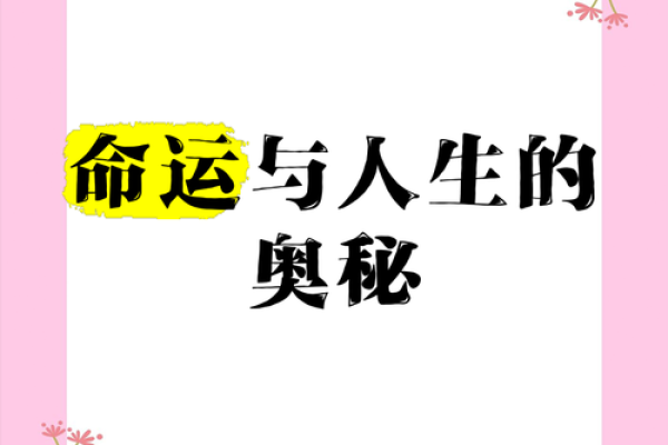 探寻命运的奥秘：认识与运用“怎么算是什么命”方法