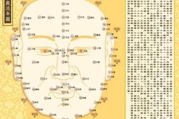 如何判断命格缺什么：探索命理的奥秘与人生的关键