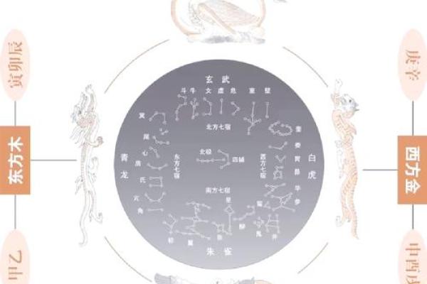 命运的指引：命理学与人生的关系探究