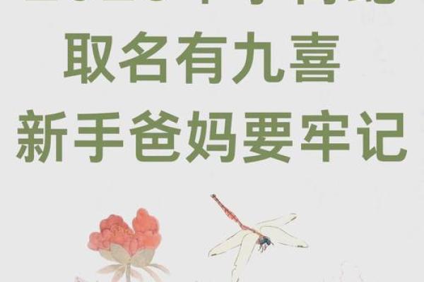 水蛇命的人适合什么名字？揭示命名背后的秘密