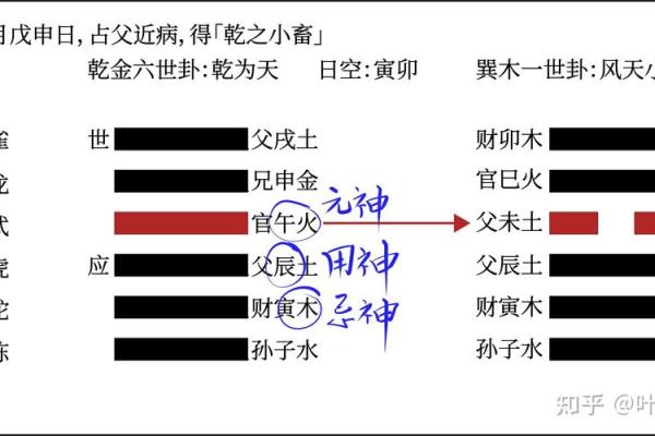 探秘朱雀命理：缺什么水果才能助运？