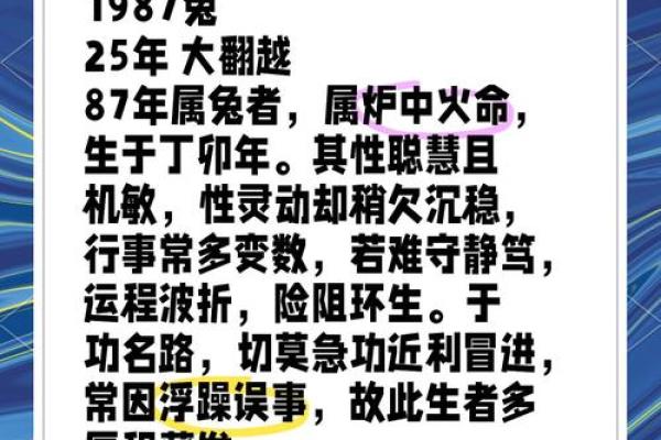 兔年的命运解析：属兔人的性格与生活轨迹