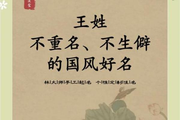 王姓女孩的命运之旅：从名字看人生的美丽与挑战