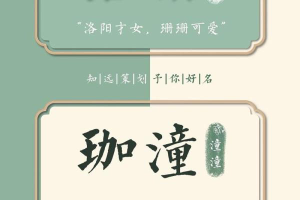 王姓女孩的命运之旅：从名字看人生的美丽与挑战