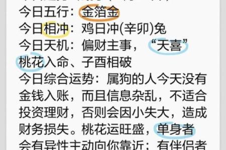 属狗的虚岁40岁，揭示命运的秘密与人生启示