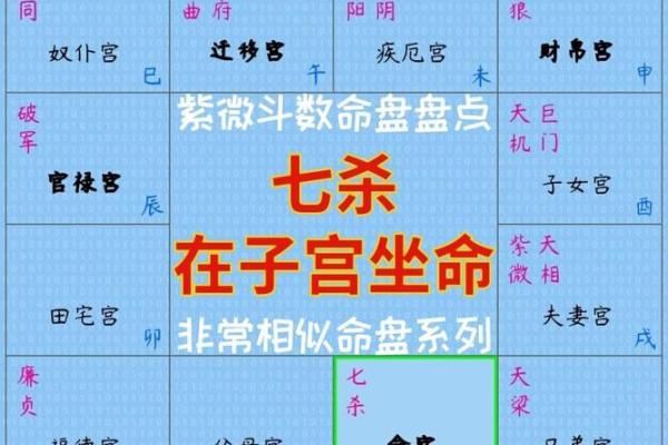 通过紫薇命盘了解你的命运与性格，揭示人生的秘密与机遇