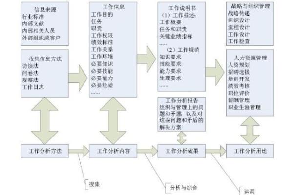 探索老鼠金命的职业选择：如何找到最适合的工作路径