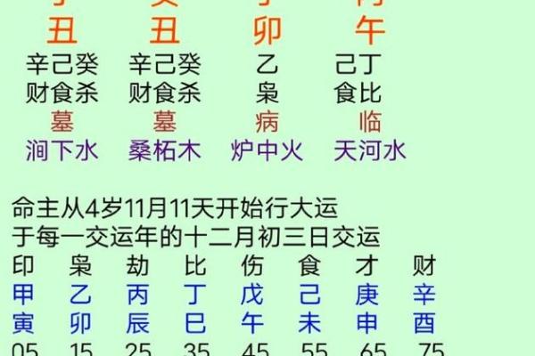 探索八字命理：丁丑、丙午、辛丑、甲午命格的奥秘与影响