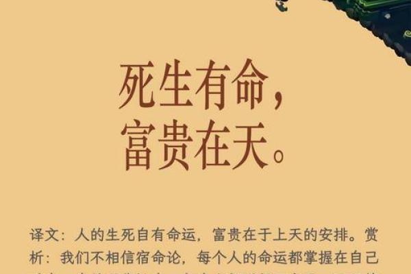 算命扛枪命：揭示命运背后的神秘力量与人生哲学