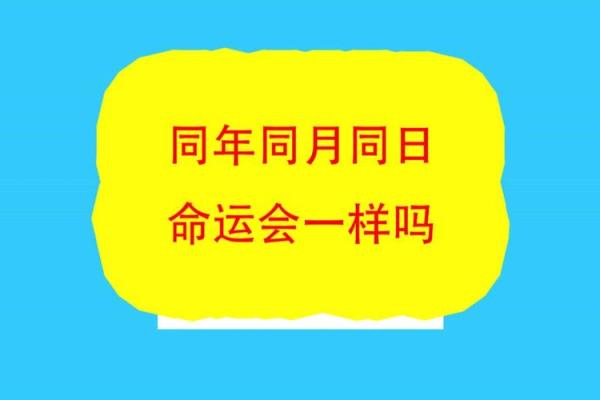 探索2001年辰时出生的命运与人生轨迹