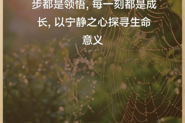 命运与修行：探索生命的深层意义