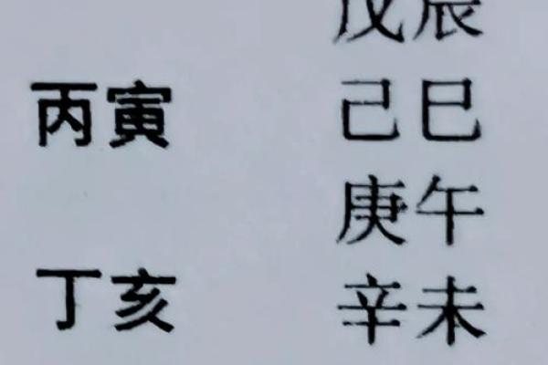 探寻戊辰乙丑男命的命理缺失与调和之道