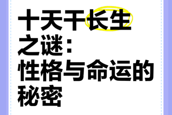 探秘命诀：探索命运背后的隐秘智慧与指引