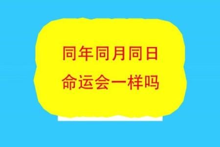 探索2001年辰时出生的命运与人生轨迹