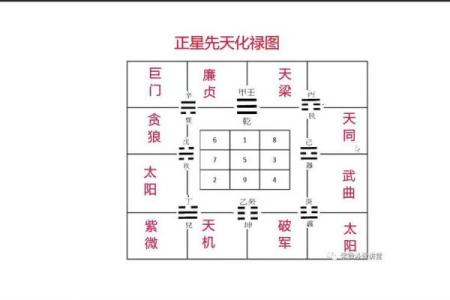 贪狼坐命，适合的职业选择与发展方向解析