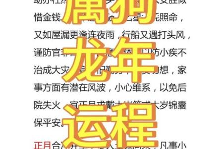 属狗1982年水命解析：命理深度分析与人生启示