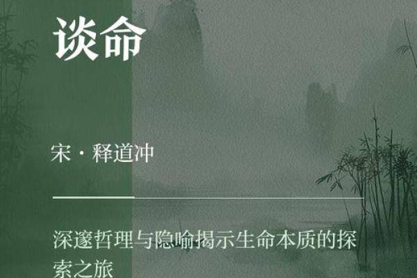 探讨命运的奥秘：讨口子命是如何影响人生的？