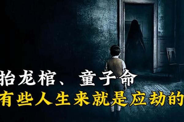 探讨命运的奥秘：讨口子命是如何影响人生的？