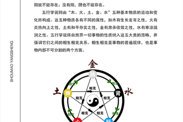 探秘命理风水的奥秘：深入了解生命与环境的和谐关系